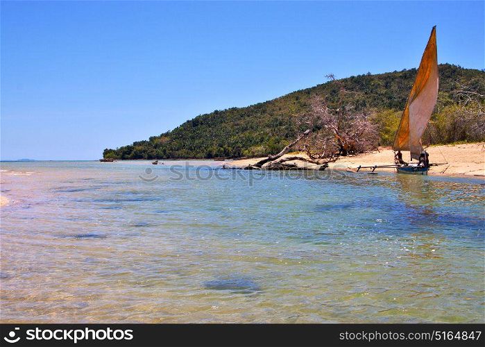 nosy be isthmus isle boat palm rock stone branch hill lagoon and coastline in madagascar