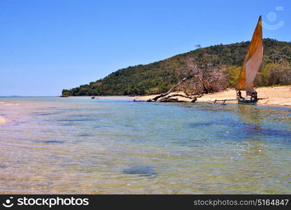 nosy be isthmus isle boat palm rock stone branch hill lagoon and coastline in madagascar