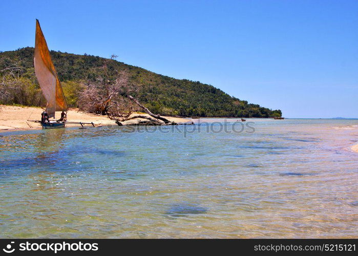 nosy be isthmus isle boat palm rock stone branch hill lagoon and coastline in madagascar