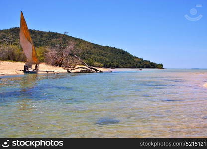 nosy be isthmus isle boat palm rock stone branch hill lagoon and coastline in madagascar