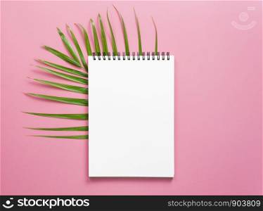 Note book on the palm leaves. On a pink background For design. Mock up or add text