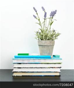 notebooks with white pages and ceramic pots with plants on a black table, white wall, minimalism in Scandinavian style