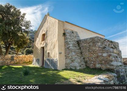 Notre Dame de la Stella chapel with olive tree near Lumio in Balagne region of Corsica