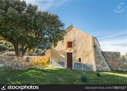 Notre Dame de la Stella chapel with olive tree near Lumio in Balagne region Corsica