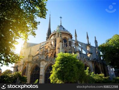 Notre Dame de Paris at sunrise, France