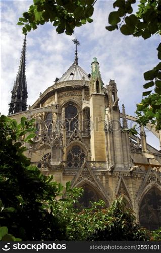Notre Dame de Paris cathedral - garden view with green trees