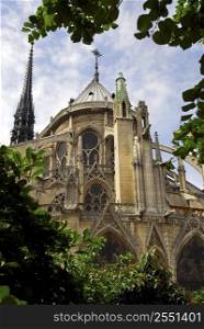 Notre Dame de Paris cathedral - garden view with green trees