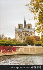 Notre Dame de Paris cathedral in Paris, France