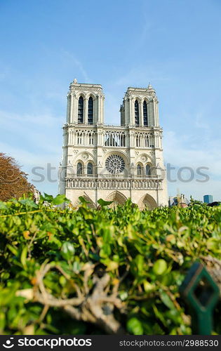 Notre Dame de Paris cathedral in summer day