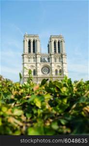 Notre Dame de Paris cathedral in summer day