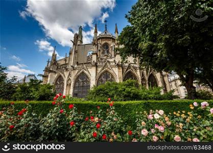 Notre Dame de Paris Cathedral with Red and White Roses in Foreground, France