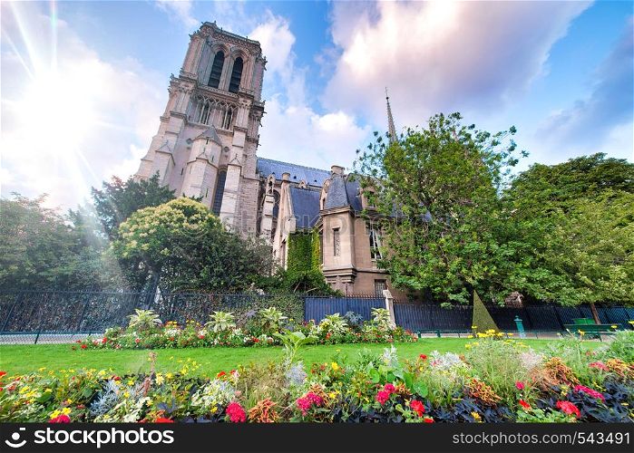 Notre Dame exterior view from Jean XXIII Park, Paris, France