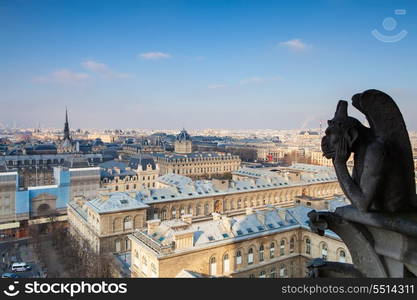 Notre Dame of Paris: Famous Chimera (demon) overlooking the Eiffel Tower at a summer day