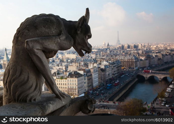 Notre Dame of Paris: Famous Chimera (demon) overlooking the Eiffel Tower at a summer day