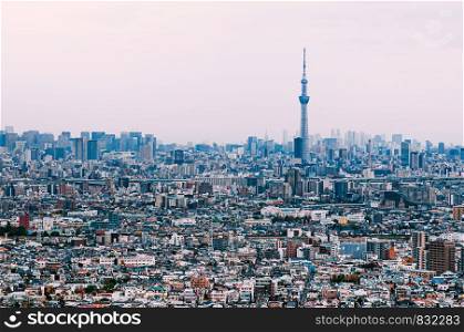 NOV 29, 2018 Tokyo, Japan - Aerial view Tokyo Skytree tower and crowded buildings in residential area of Edogawa district. Scenery of outer area and downtown of Tokyo in evening.