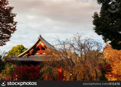 NOV 29, 2018 Tokyo, Japan - Old wooden red building of Kiyomizu Kannon-do shrine with beautiful wood facade among colourful autumn trees in Ueno park