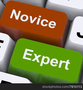 Novice Expert Keys Show Amateur Or Professional. Novice Expert Keys Showing Amateur Or Professional