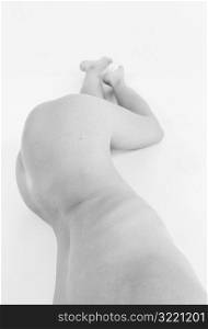 Nude Female Body