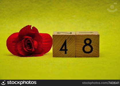 Number forty eight with a red flower on a yellow background