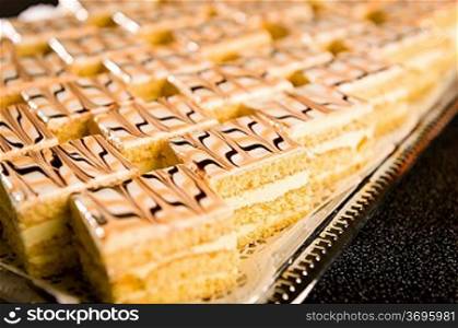 Number of honey cake pieces with tasteful decoration on tray