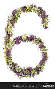Number Six In A Purple And White Flower Font