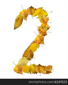 Number Two made of autumn leaves. White isolated
