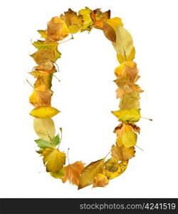 Number zero made of autumn leaves. White isolated