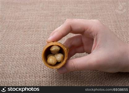Nut stuffed dessert of mini size cuisine in hand