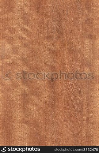 nut wood texture