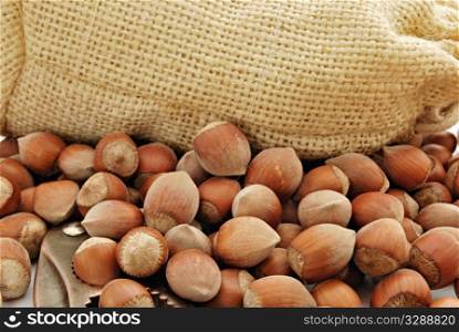 nutcracker and heap of hazelnuts
