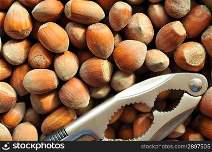 nutcracker and heap of hazelnuts close up