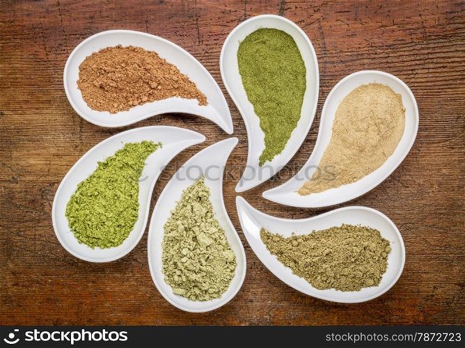 nutirtion supplement abstract - a top view of teardrop shaped bowls of various powders - cacao, wheatgrass, maca root, hemp protein, kelp, moringa leaf