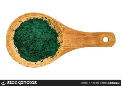 Nutrient-rich organic chlorella powder on a wooden spoon, isolated on white, top view