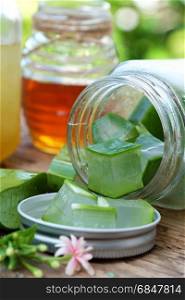 Nutrition food from aloe vera leaf and honey, a nature cosmetic for skin care from herb, also use as medicine for health, sliced of aloe and honey on outdoor green background