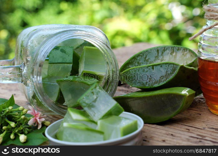 Nutrition food from aloe vera leaf and honey, a nature cosmetic for skin care from herb, also use as medicine for health, sliced of aloe and honey on outdoor green background