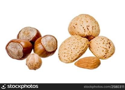 Nuts and almonds over white background