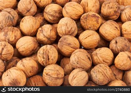 Nuts garden-stuf background