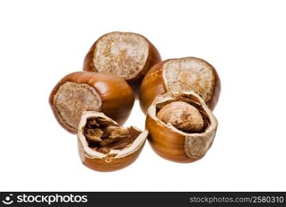 Nuts in shells over white background