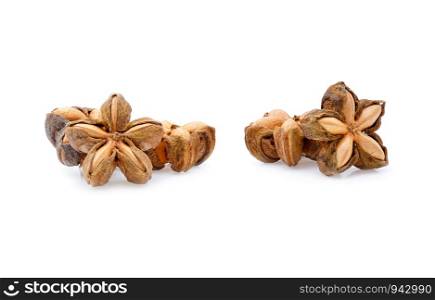 Nuts Incas , sacha inchi peanut seed on white background