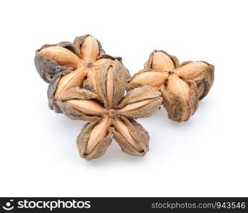 Nuts Incas , sacha inchi peanut seed on white background