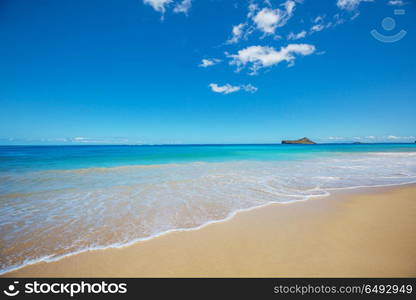 Oahu. Beautiful landscapes in Oahu island, Hawaii