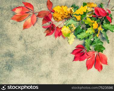 Oak and maple autumn leaves on grungy stone background. Vintage style toned picture