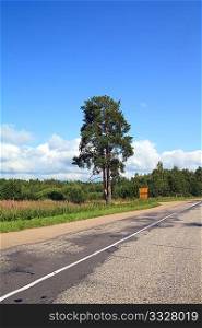 oak near roads