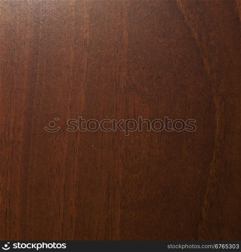 Oak wood background for texture, square image