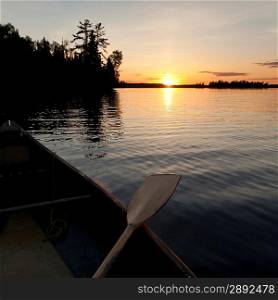Oar on a canoe in a lake, Lake of the Woods, Ontario, Canada
