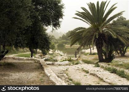 oase in the israel desert in the place Emmaus near jerusalem