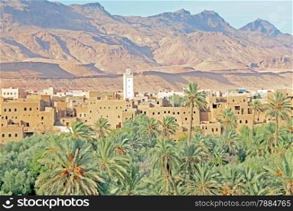Oasis, desert and table mountain in Morocco