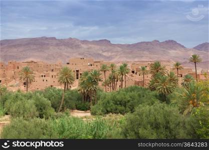 Oasis of Tinerhir, Morocco