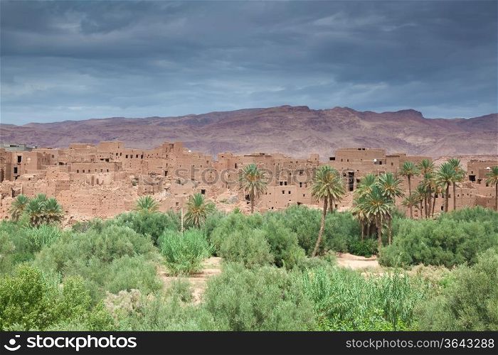 Oasis of Tinerhir, Morocco