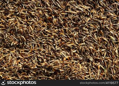 Oat cereal image. Oats texture background